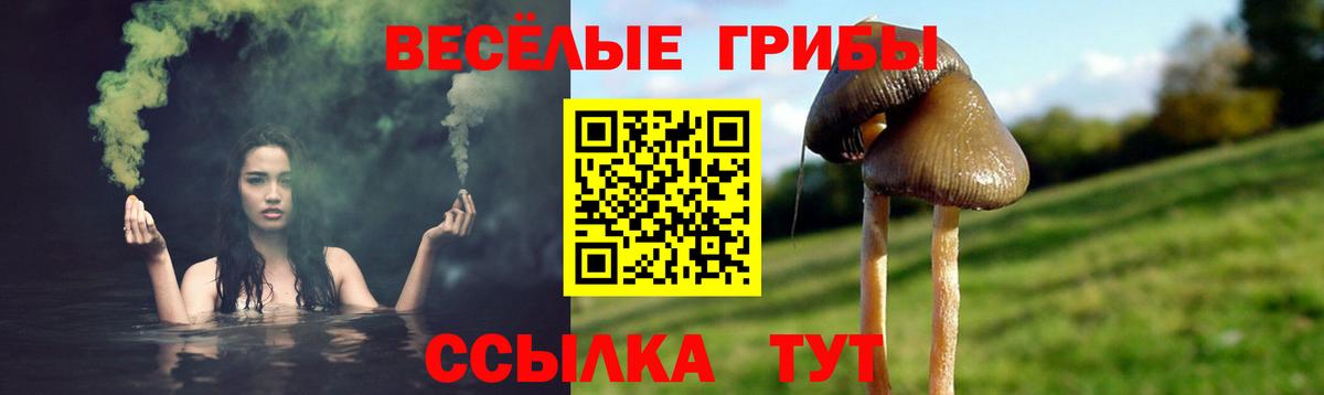 Псилоцибиновые грибы прущие грибы  Галлюциногенные грибы MAGIC MUSHROOMS  Сарапул  Вход с VPN 